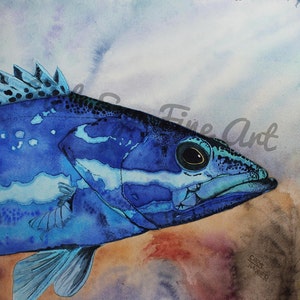Blue Grouper Fish Watercolor Painting | Limited Edition Museum Quality Giclee | Fish Art |  Nature Art