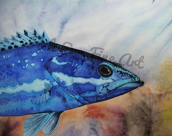 Blue Grouper Fish Watercolor Painting | Limited Edition Museum Quality Giclee | Fish Art |  Nature Art