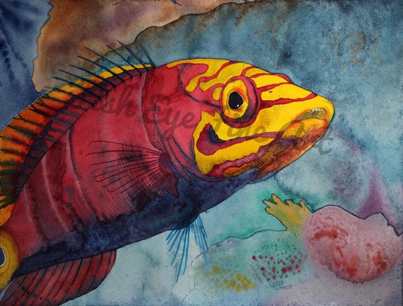 Mystery Wrasse Fish Watercolor Art | Tropical Fish Art Painting |  Limited Edition Museum Quality Giclee Print | Fish Nature Lover Art
