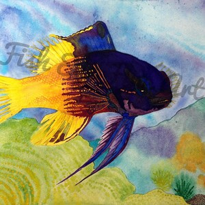 Royal Gramma Fish Watercolor Art  | Tropical Fish Painting  | Limited Edition Museum Quality Giclee
