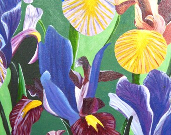 Original Floral Acrylic  Painting on Canvas  Titled Iris Rainbow 11" X 14 "