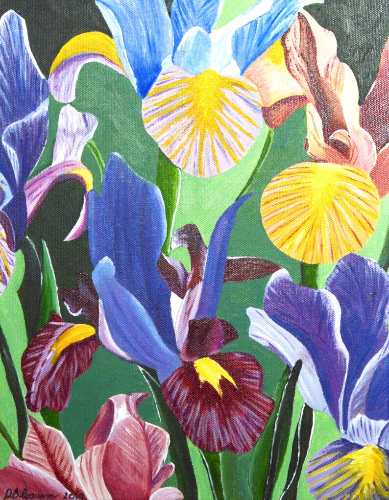 Original Floral Acrylic Painting on Canvas Titled Iris Rainbow 11 X 14 image 1