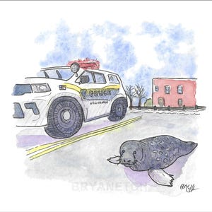 Puede incluir: Una ilustración de acuarela de un coche de policía de New Haven con una foca tumbada en la carretera delante de él. El coche es blanco con detalles azules y amarillos y las palabras "Police New Haven" en el lateral. La foca es gris con manchas negras y tiene las aletas extendidas.