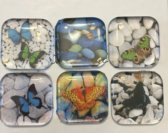 Butterfly glass fridge magnets. Set of 6 colorful butterfly glass magnets, 1" round or square refrigerator magnets, locker magnets