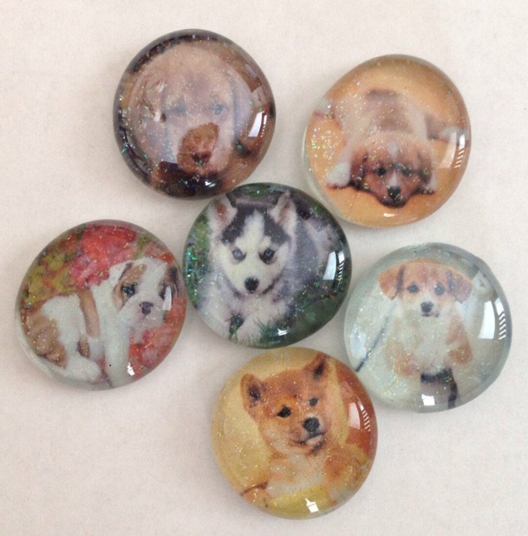 Puppy Glass Dog Glass Fridge Set. Cute Puppy Etsy