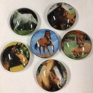 Glass fridge magnets - Horse glass magnets, set of 6 one inch round glass magnets, refrigerator magnets, horses, horse lovers, horseback