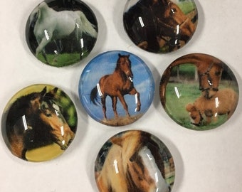 Glass fridge magnets - Horse glass magnets, set of 6 one inch round glass magnets, refrigerator magnets, horses, horse lovers, horseback