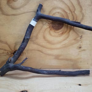 Red Manzanita forked branch perch  #102