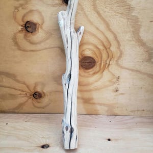 19&quot; Sanded Manzanita branch #19