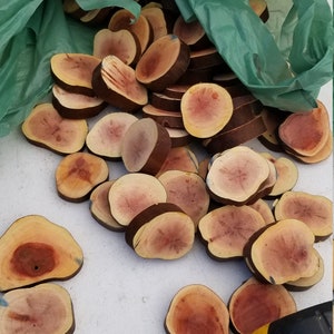 May include: A close-up of a pile of wooden slices, approximately 2 inches in diameter, with a reddish-brown color and a natural wood grain pattern. A yellow measuring tape is in the foreground, with the numbers 2, 3, 4, and 5 visible.