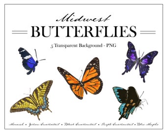 May include: Five digital illustrations of butterflies with transparent backgrounds. The butterflies are a monarch, yellow swallowtail, black swallowtail, purple swallowtail, and blue morpho.
