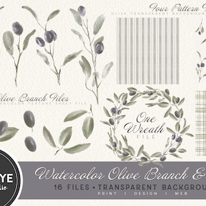 Watercolor Greenery PNG, Olive Branch Clipart, Watercolor Farmhouse Patterns Clipart Wreath and Patterns PNG