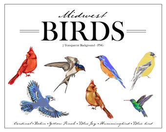 Watercolor Bird Clipart: Midwest Birds PNG Bundle (Digital Download)