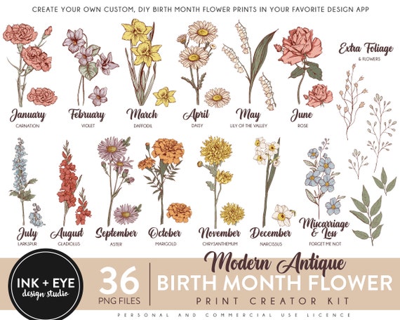 Birth Month Flowers Clipart, Antique Floral PNG bundle, DIY Birth Month Flower Print Creator Kit, Flower Graphic, Botanical Clipart