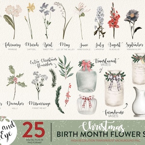 Christmas Birth Month Flower Printable Clipart, Watercolor Floral PNG bundle, DIY Birth Month Flower Print Creator, Botanical Clipart