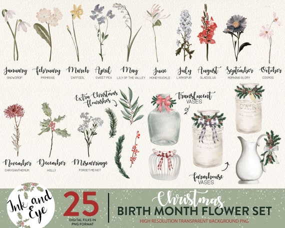 Christmas Birth Month Flower Printable Clipart, Watercolor Floral PNG bundle, DIY Birth Month Flower Print Creator, Botanical Clipart