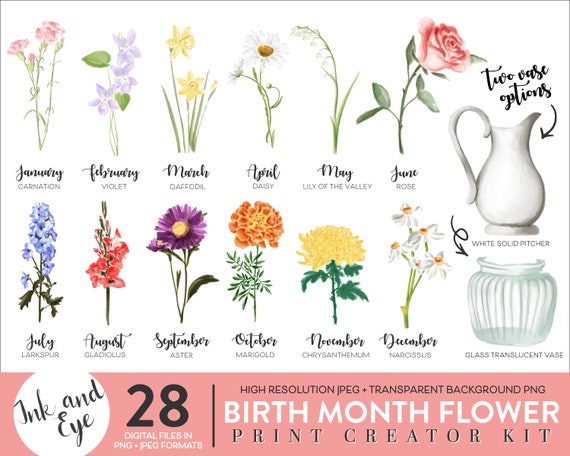 Birth Month Flowers Clipart, Watercolor Floral PNG bundle, DIY Birth Month Flower Print Creator Kit, Flower Graphic, Botanical Clipart, Jpeg