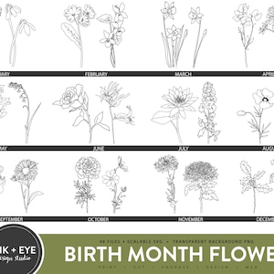 Birth Month Flowers SVG, Floral Bundle Clipart, Birthday Flower PNG, Vector Cut File