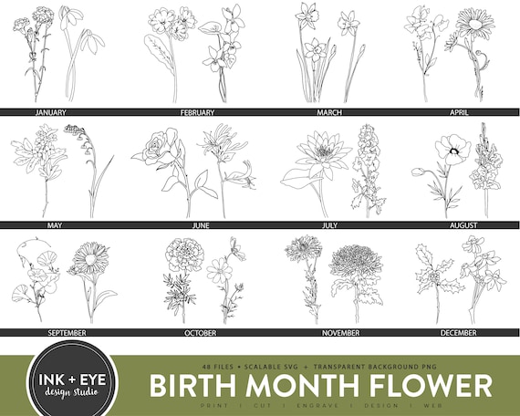 Birth Month Flowers SVG, Floral Bundle Clipart, Birthday Flower PNG, Vector Cut File