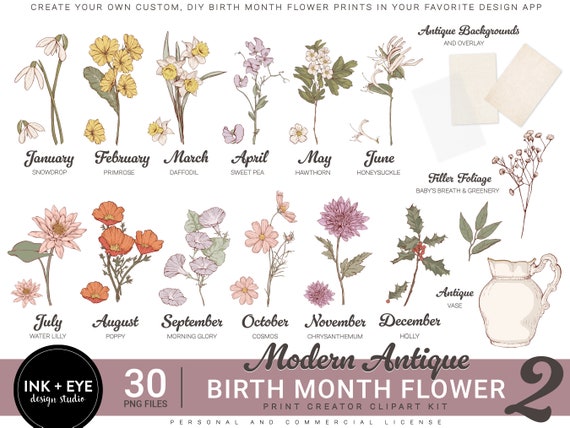 Birth Month Flowers Clipart, Antique Floral PNG bundle, DIY Birth Month Flower Print Creator Kit, Flower Graphic, Vintage Botanical Clipart