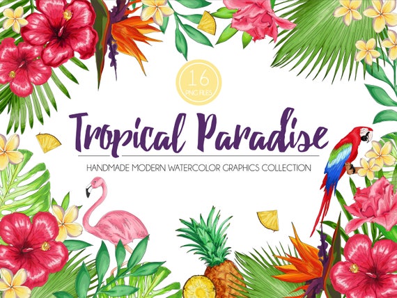 Tropical Watercolor Flowers PNG BUNDLE, Tropical Floral PNG,  Flamingo Graphic Set