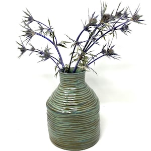 Puede incluir: Un jarrón de cerámica verde con un diseño texturizado a rayas. El jarrón está lleno de flores de cardo azul secas.