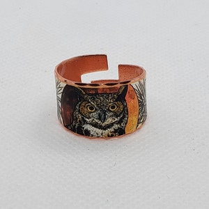 Könnte beinhalten: Kupferring mit einem Eulen-Design. Die Eule ist braun und weiß mit gelben Augen. Der Ring ist ein breiter Band mit einer strukturierten Oberfläche.