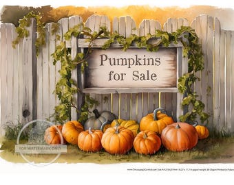 A4 Pumpkins for Sale Rice Paper - Fall, Autumn