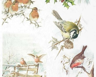A4 Winter birds with holly Rice Paper