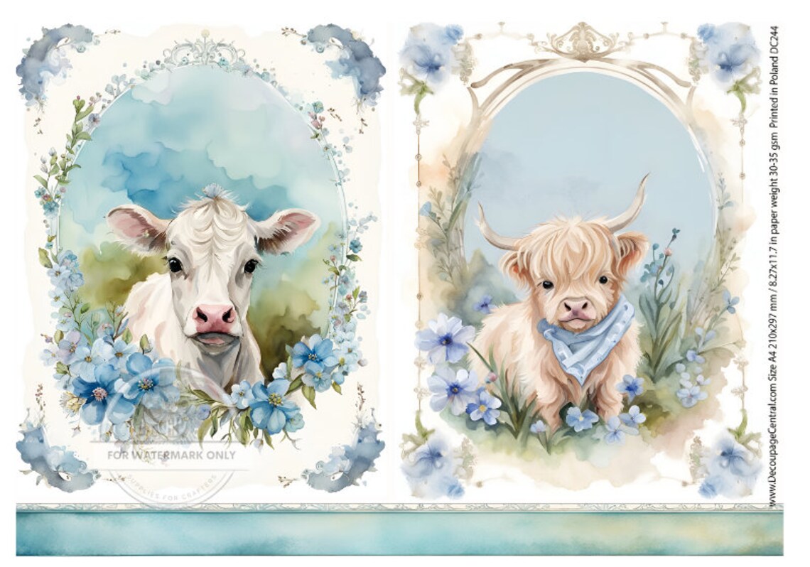 A4 Baby Cows in Blue Rice Paper - Etsy