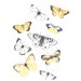 see more listings in the Tout section