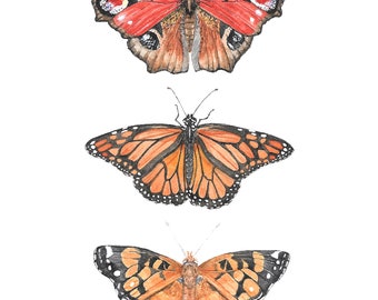 Print of watercolor butterflies, 5x7