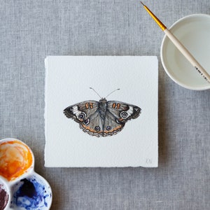 Original watercolor painting, Buckeye butterfly, life-size