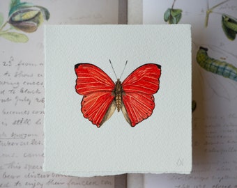 Original butterfly painting, life-size common red glider