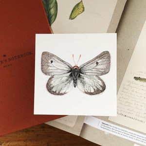 May include: A watercolor painting of a butterfly with green and gray wings. The butterfly has a black body with red accents. The painting is on a white background.