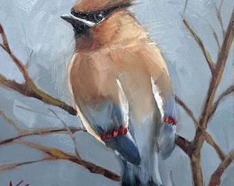 Cedar Waxwing, 6”x6” ,oil on canvas, winter, bird, krista eaton, birds, contemporary, decor, valentines