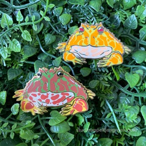 Südamerikanischer Hornfrosch-Emaille-Anstecker | Niedlicher, mürrischer Frosch-Anstecker