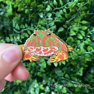 May include: A Pacman frog enamel pin with a gold outline. The pin is predominantly orange, red, and green, with a white belly and red spots. The text "STUDIO APPELTJESGROEN" is visible at the bottom of the image.
