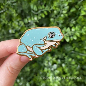 May include: A light blue frog enamel pin with gold edging. The frog has white spots and a white belly. The pin is held in a hand against a green leafy background. The text "STUDIO APPELTJESGROEN" is at the bottom.