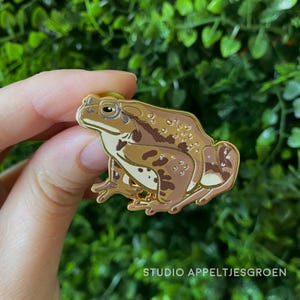 Könnte beinhalten: Eine goldfarbene Emaille-Anstecknadel in Form einer Kröte mit braun-beiger, gefleckter Haut, strukturierten Höckern und einem cremefarbenen Bauch. Die Anstecknadel zeigt detaillierte Augen und Beine sowie den Text STUDIO APPELTJESGROEN unten.