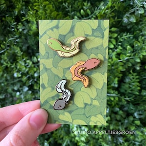 Op de afbeelding: Drie emaille pins met kikkervisjesontwerpen in groen, perzik en grijs met gouden contouren. De pins worden gepresenteerd op een kaart met groene bladeren. De tekst "STUDIO APPELTJESGROEN" is zichtbaar onderaan de kaart.
