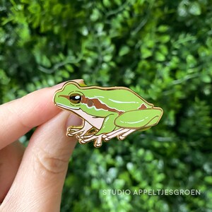 Op de afbeelding: Een groene kikker emaille pin met goudkleurige randen. De pin heeft een gedetailleerd ontwerp van een kikker met bruine markeringen en zwarte ogen. De tekst "STUDIO APPELTJESGROEN" staat onderaan.