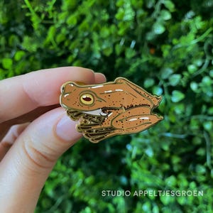 May include: A tan and brown enamel pin shaped like a frog in a resting position. The frog features dark brown speckles, a white underbelly, and a prominent eye with a yellow iris and black pupil. The text STUDIO APPELTJESGROEN is visible.
