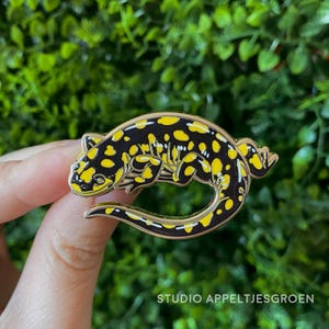 May include: A metal enamel pin shaped like a curled salamander with a black body and bright yellow spots. The design features a smooth, glossy finish with gold-toned metal outlines defining the creature's form, including its head, legs, and tail.