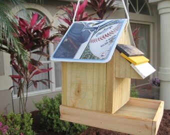 Tampa Bay Rays Baseball Handmade Novelty Bird Feeder with License Plate Roof