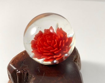 Glass Rose Marble - Flower Implosion - collectible