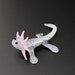 see more listings in the Axolotls section