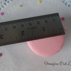 May include: A pink circle measuring 2 inches in diameter, with a ruler placed on top of it. The ruler is marked with inches and has the text "SSME-24" printed on it.