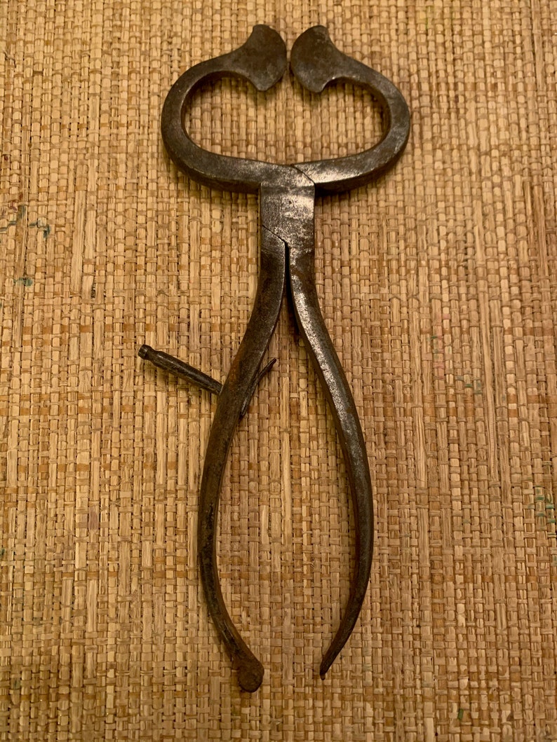 Colonial Era Wrought Iron Sugar Nippers Set 2 white metal Etsy