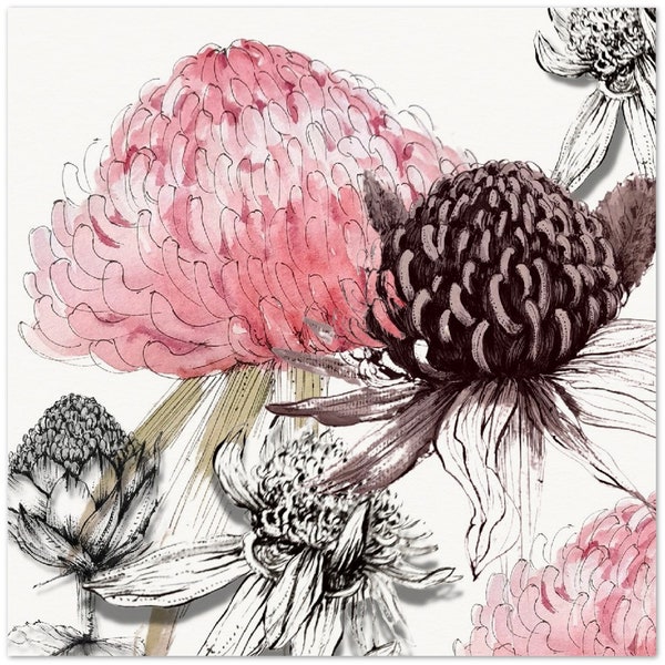 Australian Native Flora painting- Waratah print